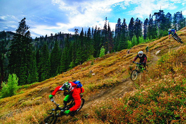 bike jackson hole 07