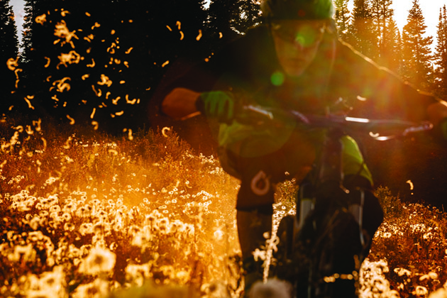 bike jackson hole 10