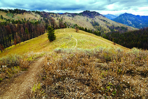bike jackson hole 12